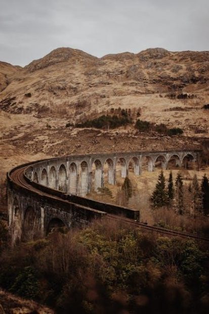 harry potter le guide ultime