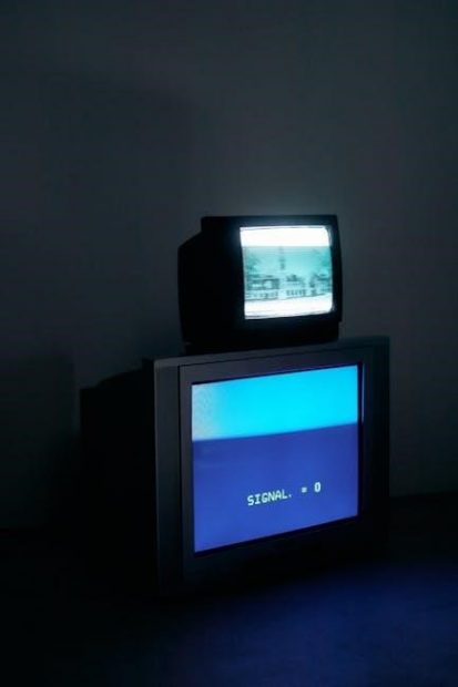 oticon tv adapter 3.0 manual