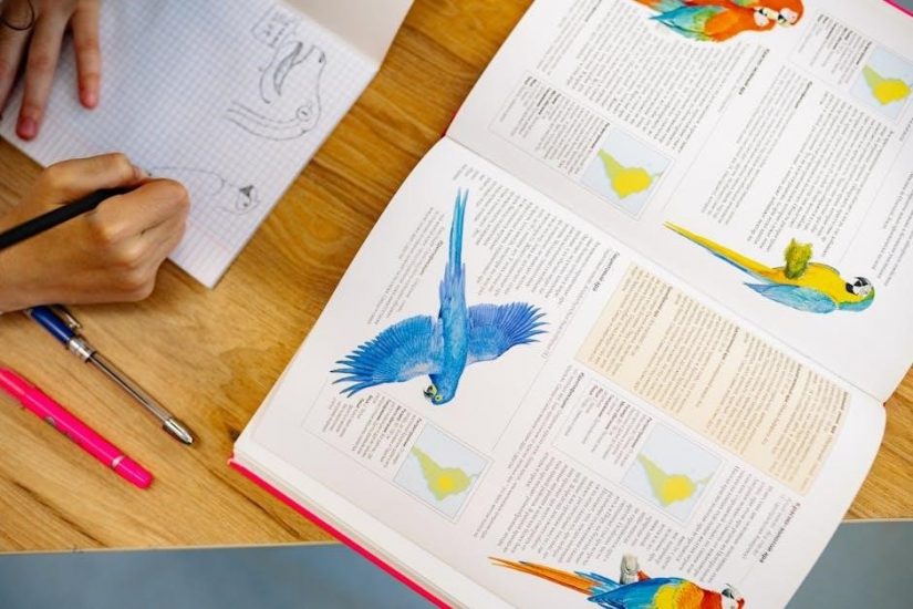 guided writing