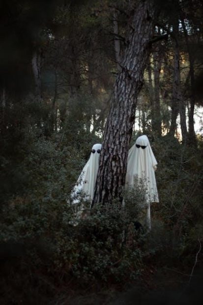 mark twain a ghost story pdf