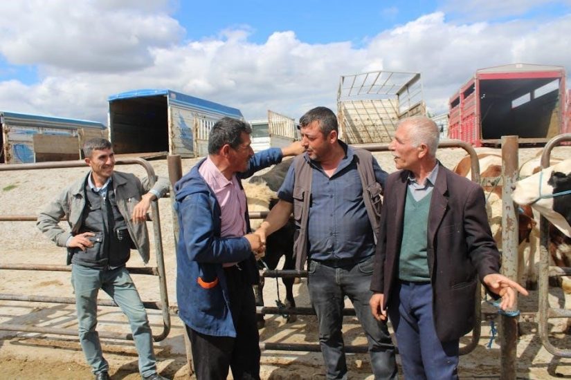 reiv commercial lease agreement pdf